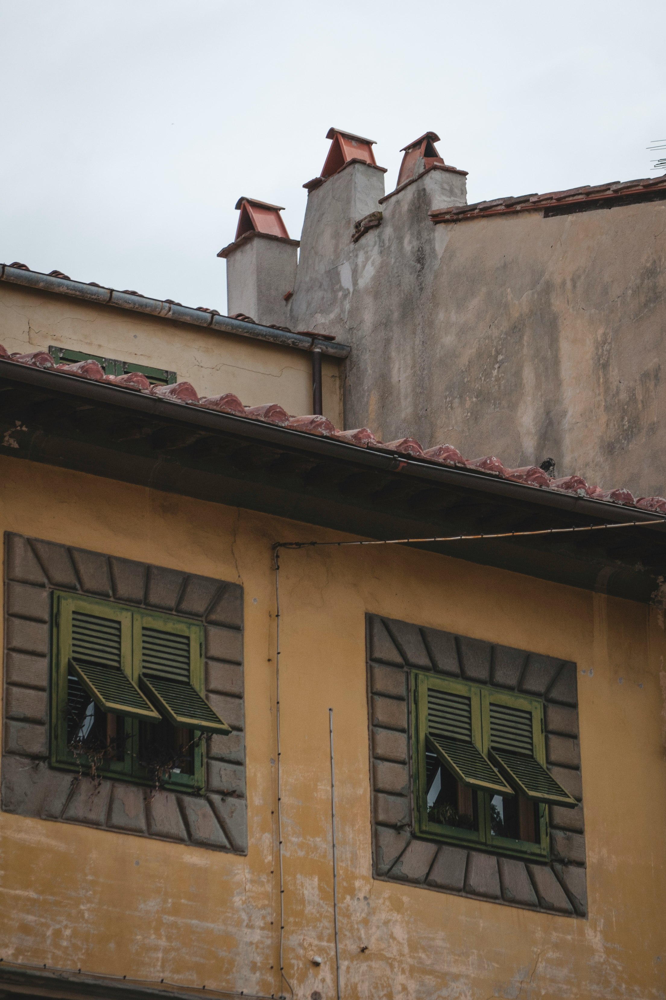 brown and green concrete house